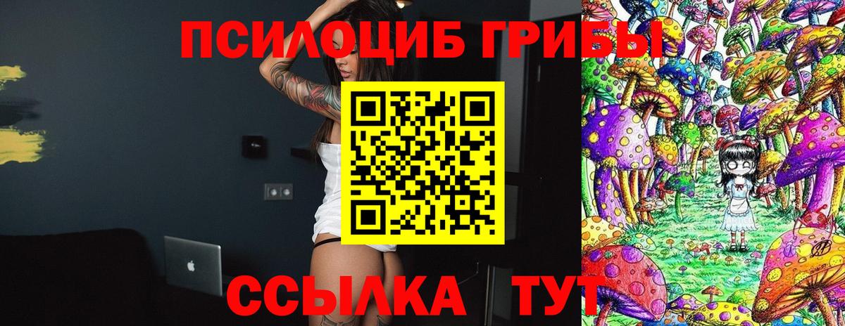 Галлюциногенные грибы Cubensis Кисловодск