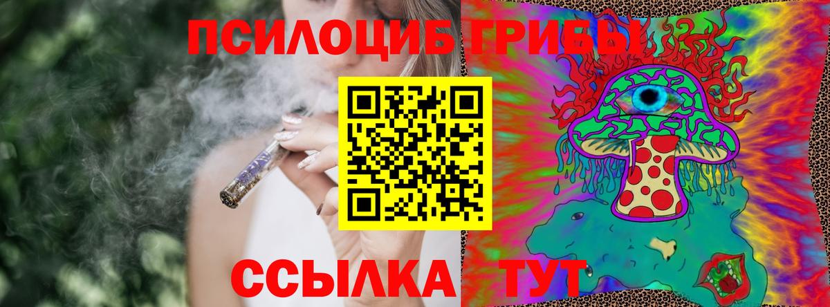 Кисловодск  Галлюциногенные грибы Psilocybe  Вход с VPN 